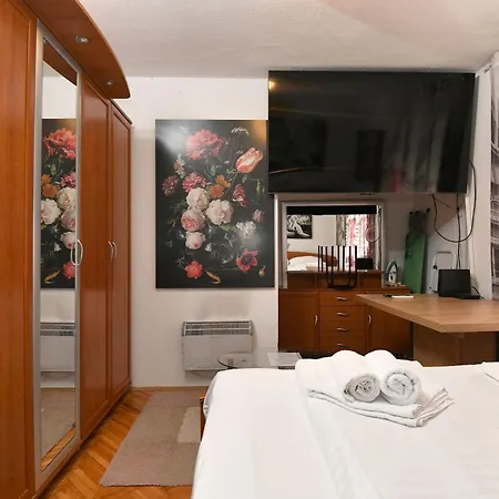 Dario With Terrace And Bbq Apartment Zadar